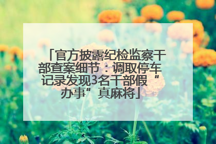 官方披露纪检监察干部查案细节：调取停车记录发现3名干部假“办事”真麻将