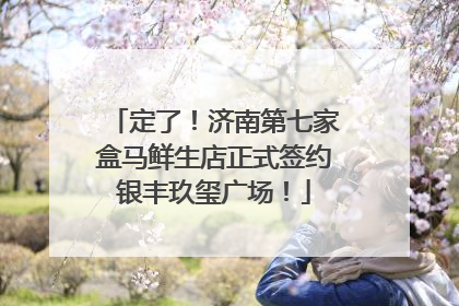 定了！济南第七家盒马鲜生店正式签约银丰玖玺广场！