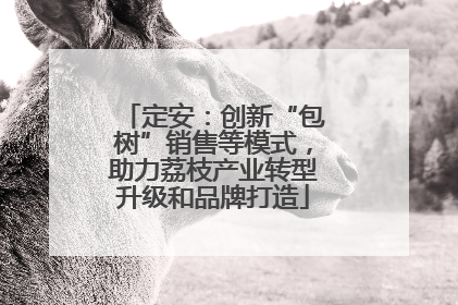 定安：创新“包树”销售等模式，助力荔枝产业转型升级和品牌打造