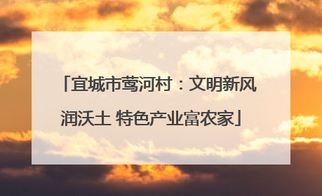 宜城市莺河村：文明新风润沃土 特色产业富农家