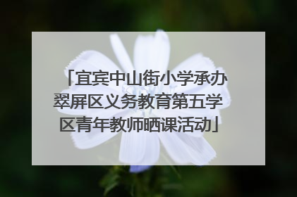 宜宾中山街小学承办翠屏区义务教育第五学区青年教师晒课活动