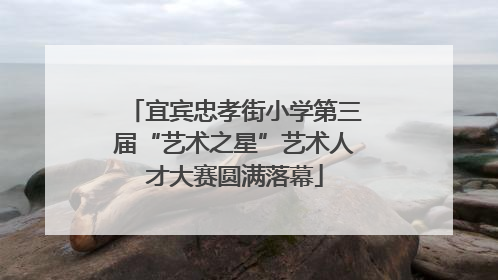 宜宾忠孝街小学第三届“艺术之星”艺术人才大赛圆满落幕