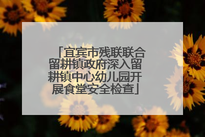 宜宾市残联联合留耕镇政府深入留耕镇中心幼儿园开展食堂安全检查
