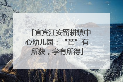 宜宾江安留耕镇中心幼儿园：“芒”有所获，学有所得