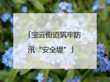 宝云街道筑牢防汛“安全堤”