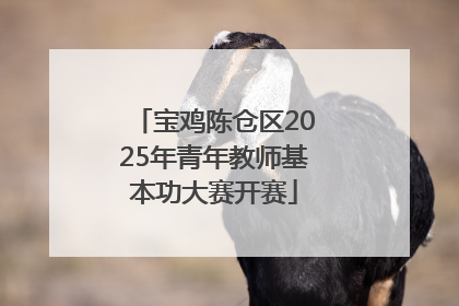 宝鸡陈仓区2025年青年教师基本功大赛开赛