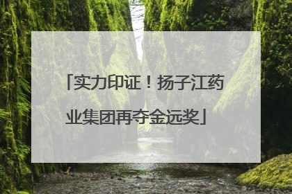 实力印证！扬子江药业集团再夺金远奖