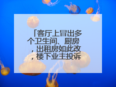 客厅上冒出多个卫生间、厨房，出租房如此改，楼下业主投诉：多少不舒服