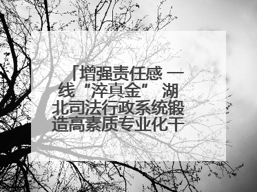 增强责任感 一线“淬真金” 湖北司法行政系统锻造高素质专业化干警队伍