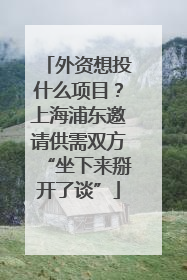 外资想投什么项目？上海浦东邀请供需双方“坐下来掰开了谈”
