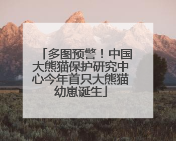 多图预警！中国大熊猫保护研究中心今年首只大熊猫幼崽诞生