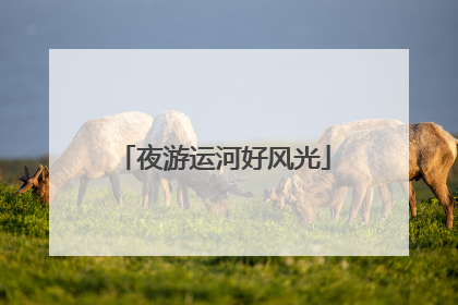 夜游运河好风光