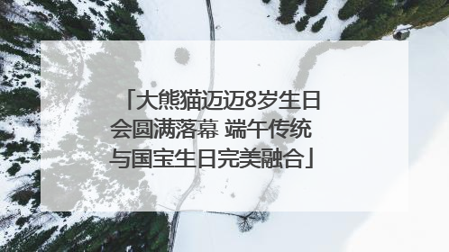 大熊猫迈迈8岁生日会圆满落幕 端午传统与国宝生日完美融合