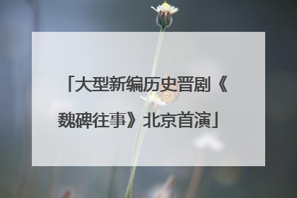 大型新编历史晋剧《魏碑往事》北京首演