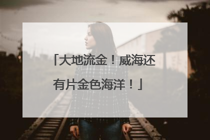 大地流金！威海还有片金色海洋！