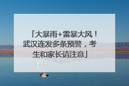 大暴雨+雷暴大风！武汉连发多条预警，考生和家长请注意