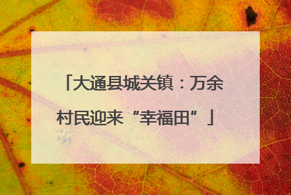 大通县城关镇：万余村民迎来“幸福田”