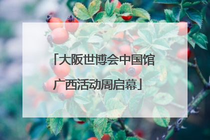 大阪世博会中国馆广西活动周启幕