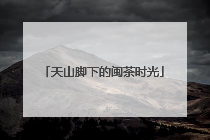 天山脚下的闽茶时光