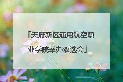 天府新区通用航空职业学院举办双选会