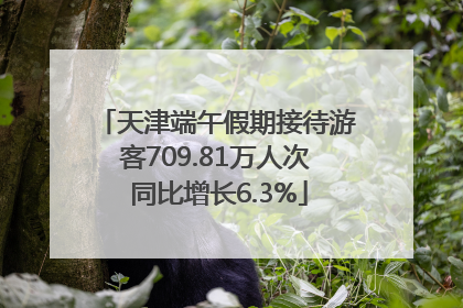 天津端午假期接待游客709.81万人次 同比增长6.3%