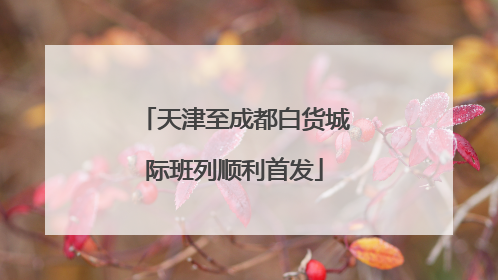 天津至成都白货城际班列顺利首发