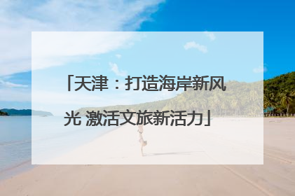 天津：打造海岸新风光 激活文旅新活力