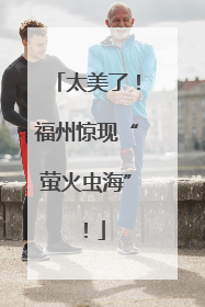 太美了！福州惊现“萤火虫海”！