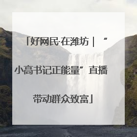 好网民·在潍坊｜“小高书记正能量”直播 带动群众致富