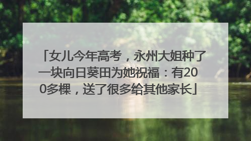 女儿今年高考，永州大姐种了一块向日葵田为她祝福：有200多棵，送了很多给其他家长