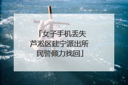 女子手机丢失 芦淞区建宁派出所民警倾力找回