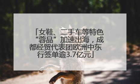 女鞋、二手车等特色“蓉品”加速出海，成都经贸代表团欧洲中东行签单逾3.7亿元