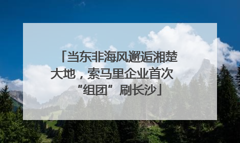 当东非海风邂逅湘楚大地，索马里企业首次“组团”刷长沙