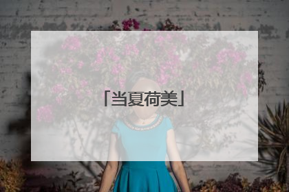 当夏荷美
