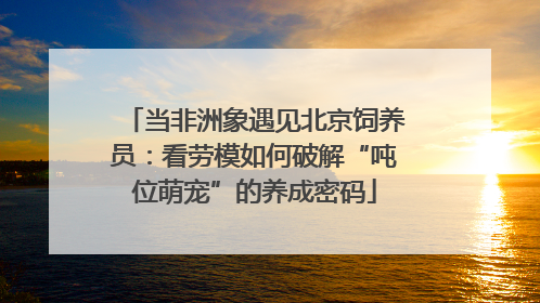 当非洲象遇见北京饲养员：看劳模如何破解“吨位萌宠”的养成密码