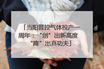 当阳晋控气体投产一周年：“创”出新高度 “降”出真功夫