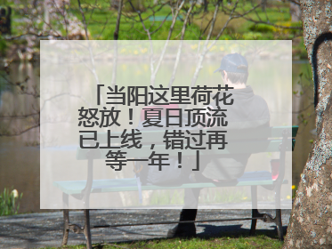 当阳这里荷花怒放！夏日顶流已上线，错过再等一年！