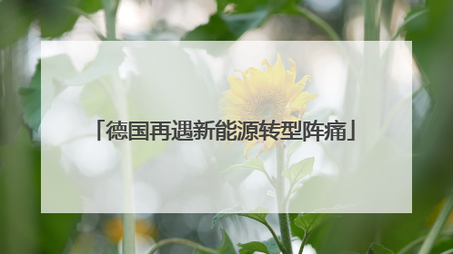 德国再遇新能源转型阵痛