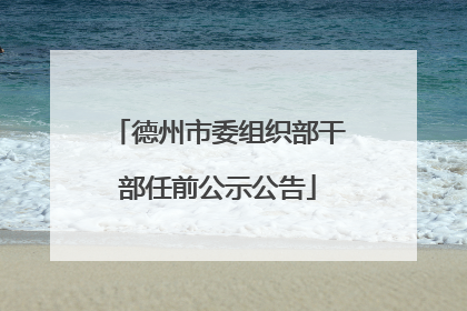德州市委组织部干部任前公示公告