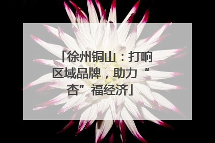 徐州铜山：打响区域品牌，助力“杏”福经济