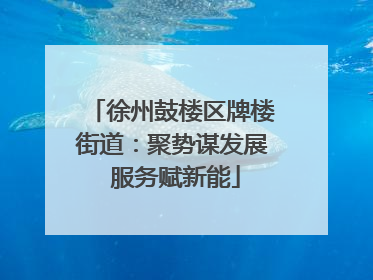 徐州鼓楼区牌楼街道：聚势谋发展 服务赋新能