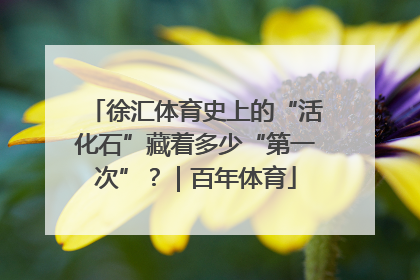 徐汇体育史上的“活化石”藏着多少“第一次”？｜百年体育