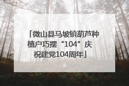 微山县马坡镇葫芦种植户巧摆“104”庆祝建党104周年