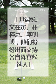 尹锡悦、文在寅、朴槿惠、李明博，他们纷纷出面支持各自阵营候选人