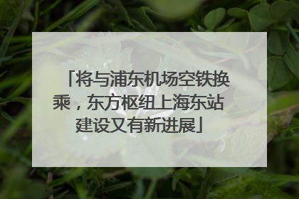 将与浦东机场空铁换乘，东方枢纽上海东站建设又有新进展