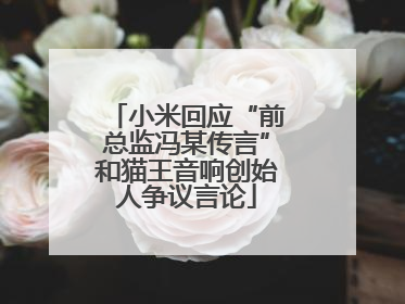 小米回应“前总监冯某传言”和猫王音响创始人争议言论