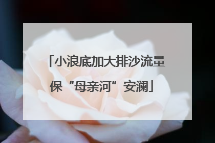 小浪底加大排沙流量 保“母亲河”安澜
