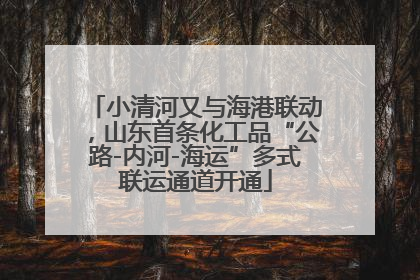 小清河又与海港联动，山东首条化工品“公路-内河-海运”多式联运通道开通