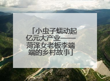 小虫子蠕动起亿元大产业——菏泽女老板李端端的乡村故事