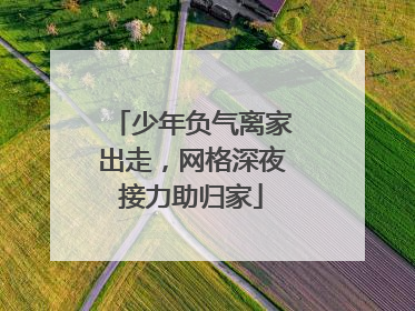 少年负气离家出走，网格深夜接力助归家